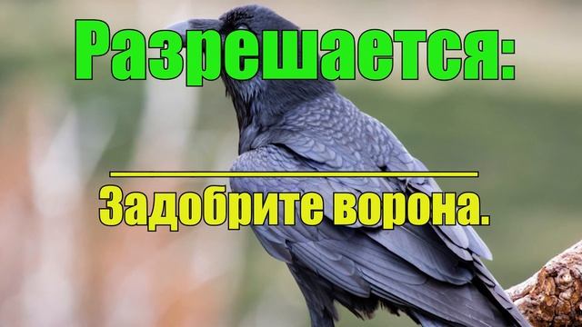 27 АПРЕЛЯ народный праздник Мартынов День. Что нельзя делать. Народные традиции и суеверия. смотреть онлайн
