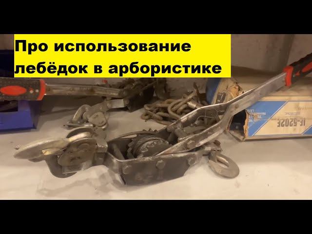 Про использование лебёдок в арбористике