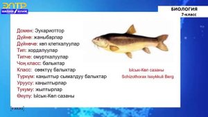 7-класс | Биология | Жаныбарлар дүйнөсүнө жалпы мүнөздөмө