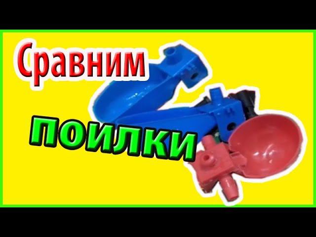 Сравнение чашечных поилок для перепелов