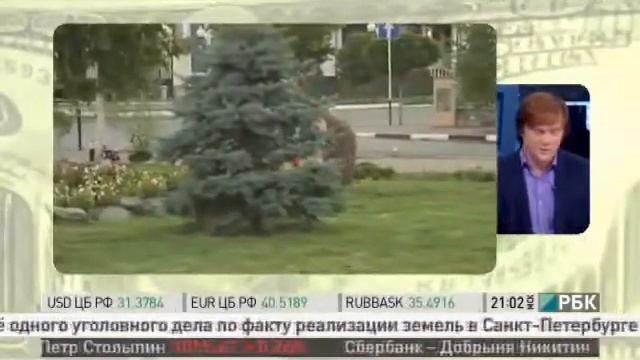 Мусор в Чечне складывают в Российские флаги смотреть онлайн