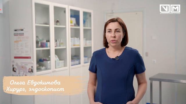 Чем животное может отравиться смотреть онлайн