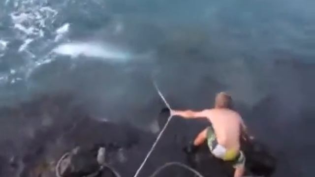 ▶ Вот это рыбалка тигровая акула смотреть онлайн