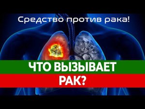 Почему мусульмане меньше болеют раком