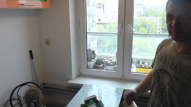"Огород - крулый год" в городских условиях - кактусы, как сырьё для изготовления текилы смотреть онлайн