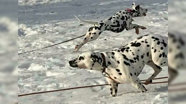 ТУЗИКА ФОТОГРАФИИ ЗА МАРТ И АПРЕЛЬ