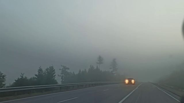 Второй день дома, отдыхаем от дороги