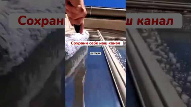 Анекдот про Русскую #анекдот