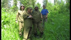 Российскому центру защиты леса - 75 лет