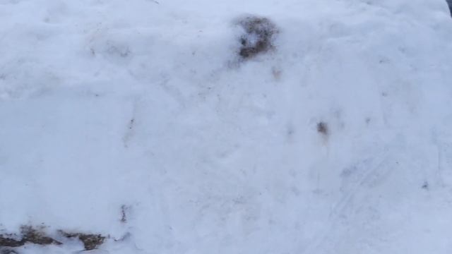 Стройка снежной крепости 1 часть смотреть онлайн