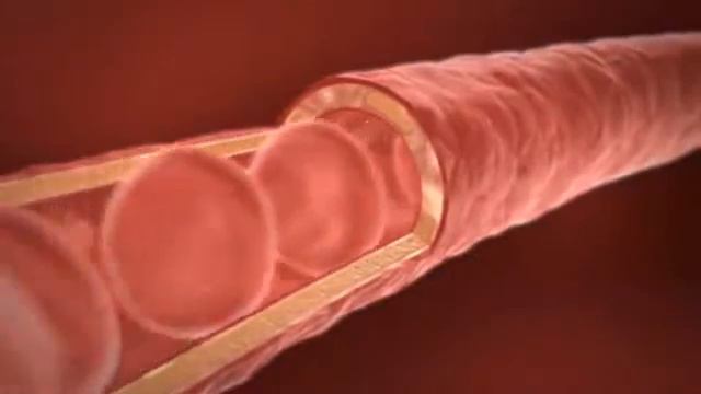 LR Aloe Vera.wmv смотреть онлайн