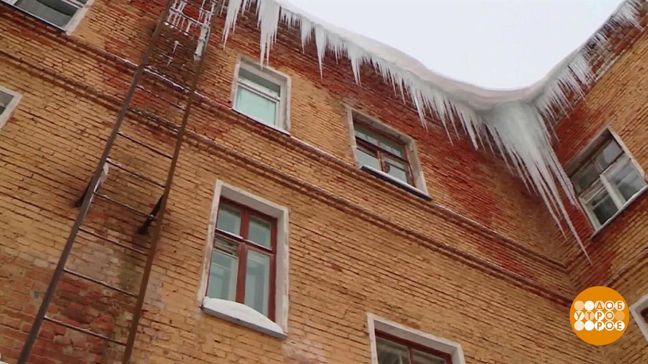 Осторожно, сосульки! Доброе утро. Фрагмент выпуска от 04.02.2022
