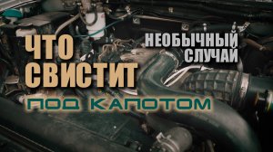 Что свистит под капотом. Подшипник или обгонная муфта? Не факт!