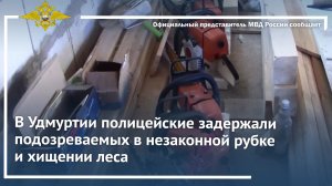 В Удмуртии полицейские задержали подозреваемых в незаконной рубке и хищении леса