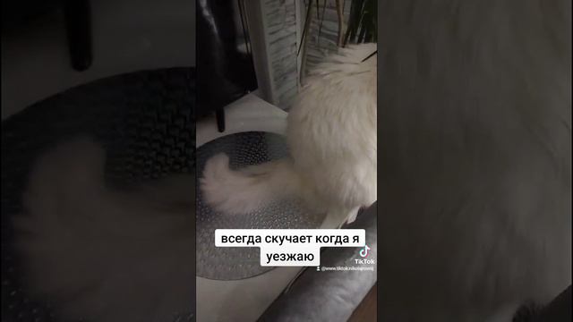 разное