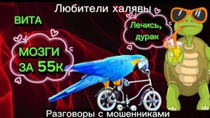 ВИТА. ПОКУПАЕМ МОЗГИ В ЛОХОМАГАЗИНЕ | ТЕЛЕФОННЫЕ МОШЕННИКИ