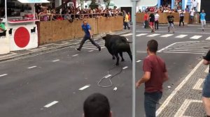 Игры с быками на Терсейре