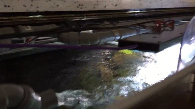 IBO BETA 25/60 смотреть онлайн