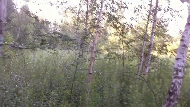 Заброшенная деревня  Удивительные находки
