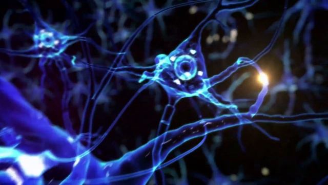 Today We Review the Gamma Clarity 40 Hz Meditation Light Bulb! смотреть онлайн