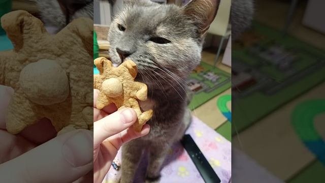 животные