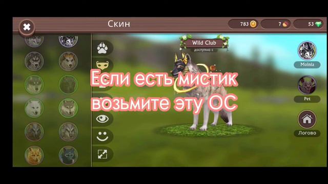 Какие ос можно сделать на волке, гепарде? ОТВЕТ ТУТ! •|Спасибо за 100 гепардиков! 😍 Будет аск? смотреть онлайн