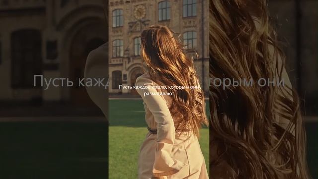 Мечты, как парящие в небесах птицы.