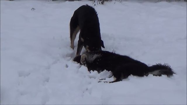 Хорошо в деревне Хотошо)))