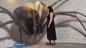 В Ставрополе можно увидеть десятки разнообразных пауков и скорпионов