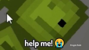 Playing Melon Playground BUT In Chicken Gun