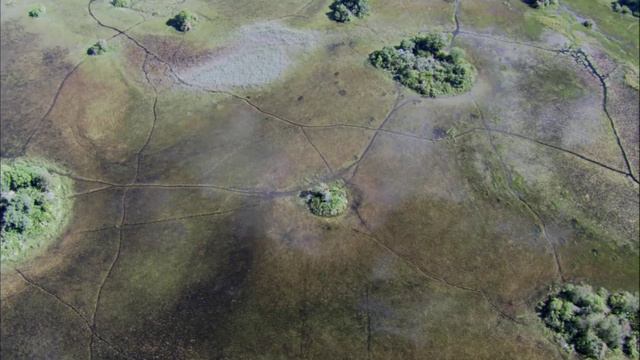 В разгар засухи в Калахари в дельту Окаванго прибывает вода.