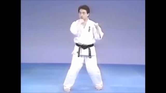 Кёкусинкай Карате/ Удар Сейкен аго ути/Kyokushin Karate/Seiken Ago Uchi