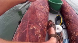 Ловля морской креветки (чилима). Лайфхак. Catching sea prawns.