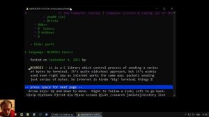 Текстовой браузер Lynx под Windows
