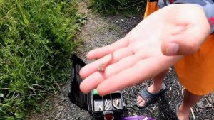 Соревнование по рыбной ловел спинингом ЗОЛОТАЯ РЫБКА Лето 2018 год