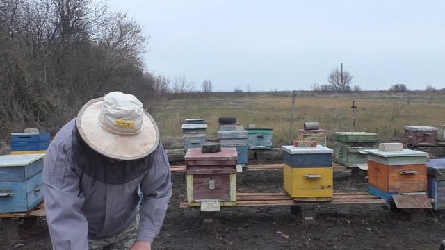 НЕ ВСЁ ТАК ПЛОХО смотреть онлайн