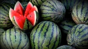 Что же такое арбуз Это ягода или фрукт