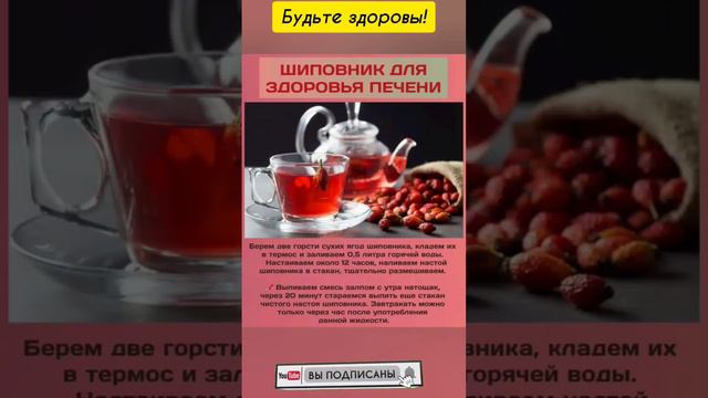 Шиповник для здоровья печени