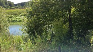 Евгений Клячкин - Речка (ст. Г. Горбовского) - кавер, аккорды и бой на семиструнной гитаре, разбор.