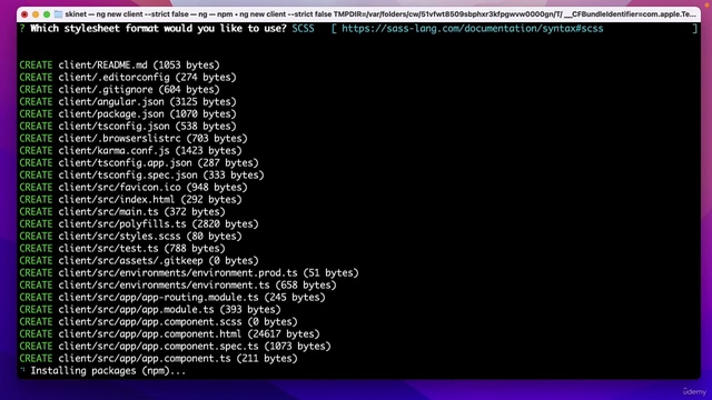 072 Creating the Angular project смотреть онлайн