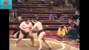 Борьба сумо  Бой сумо  Мал клоп да вонюч