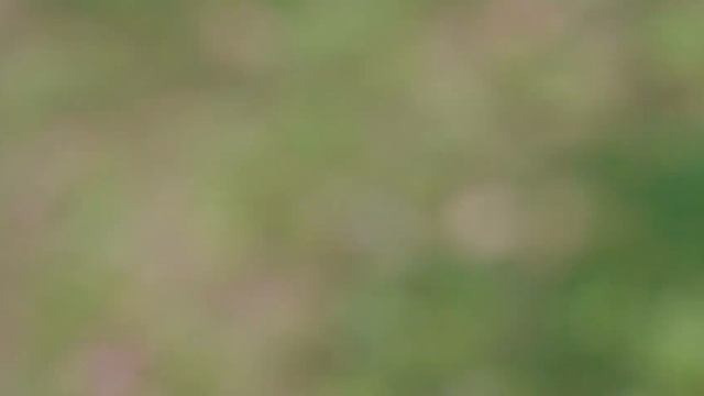 Mibro T2 Review | A Giant Killer смотреть онлайн