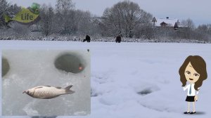 Как ловить карася зимой на поплавок? Секреты ловли карася со льда на поплавок!