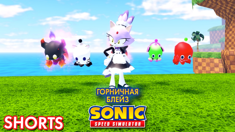 ГОРНИЧНАЯ БЛЕЙЗ | Sonic Speed Simulator ROBLOX #sonic #соник #roblox #sonicspeedsimulator #blaze