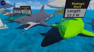 Sharks Size Comparison 3D