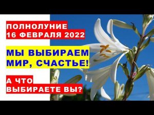 Полнолуние 16 февраля 2022 Мы выбираем мир, счастье, выращивание овощей и цветов. А Вы что выбираете