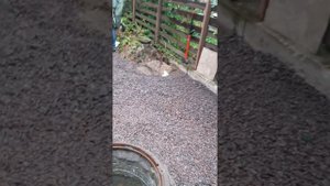 подготовка основания под укладку брусчатки