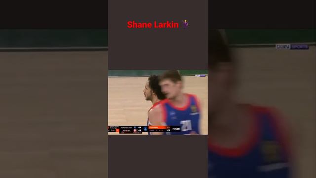 Shane Larkin 🤫 #nba #nbahighlights #nbahighlightstoday #anadoluefes #basketball