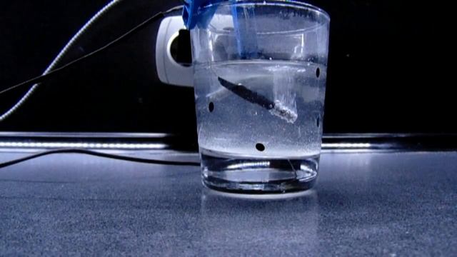 Шок!!! 30 секунд на растворение позолоты смотреть онлайн