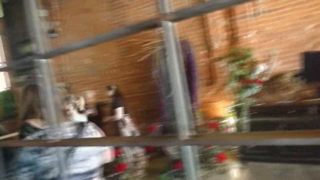 МАГИЧЕСКИЙ ФЕСТ. Как разбогатеть и поймать невесту смотреть онлайн